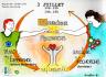 image connecteur_recherche_3_juilletweb.jpg (0.5MB)